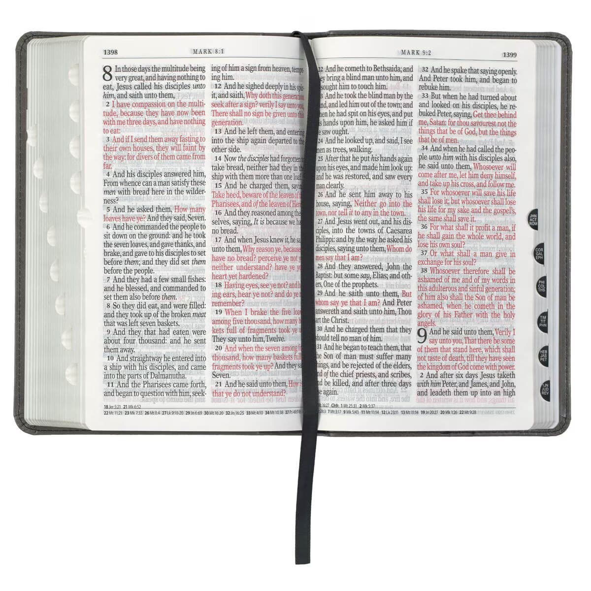 Gray and Black Faux Leather Giant Print Standard-size King James Version Bible with Thumb Index, picture 7