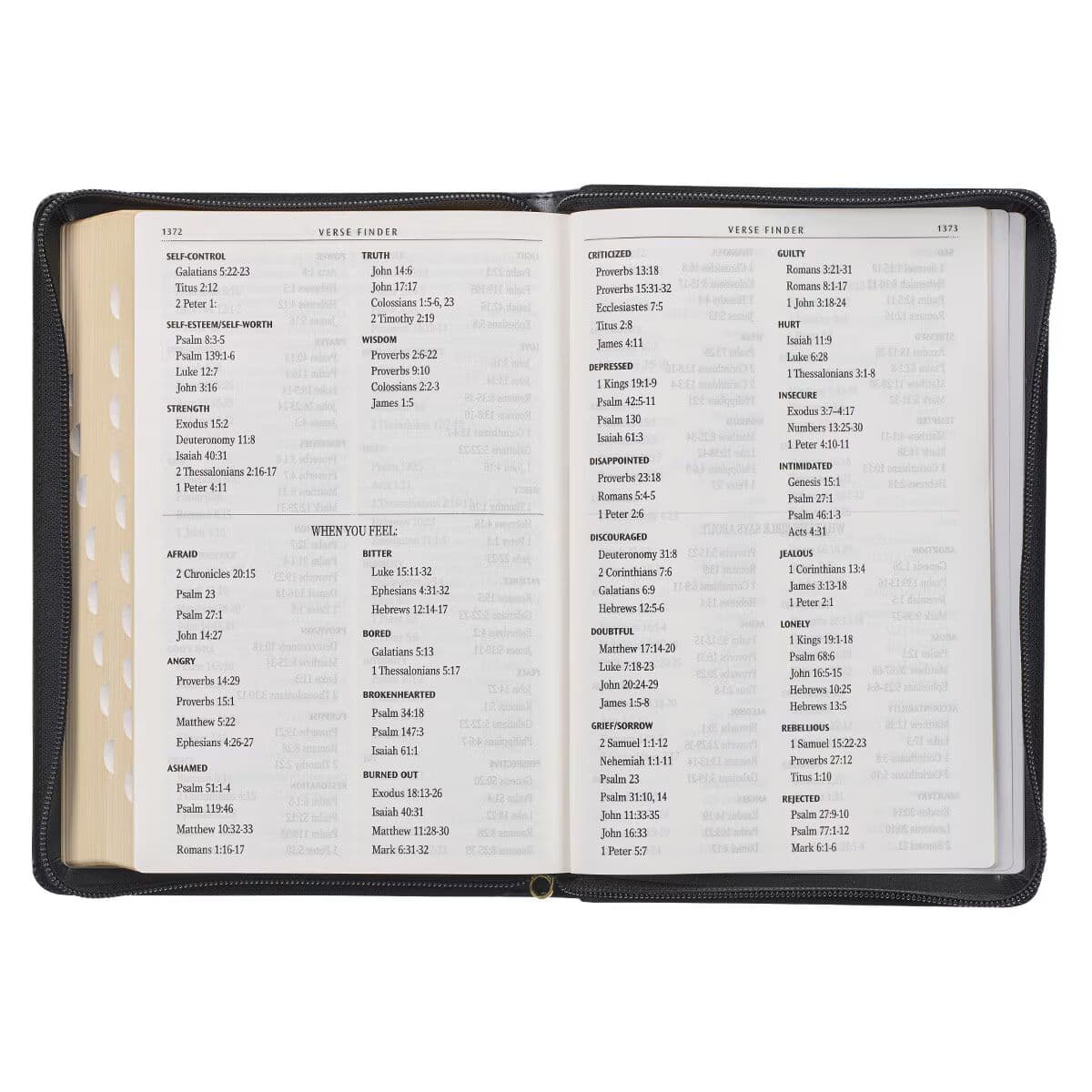 Black Framed Faux Leather Giant Print Full-size King James Version Bible with Thumb Index and Zippered Closure, picture 10