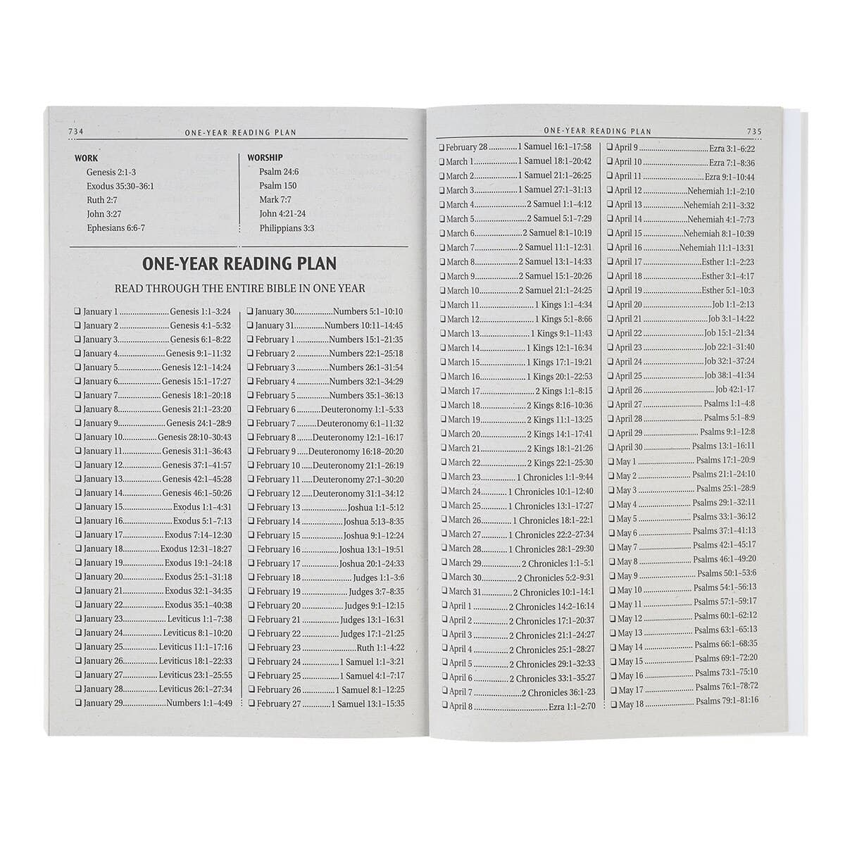 Lion Softcover King James Version Outreach Bible, picture 3