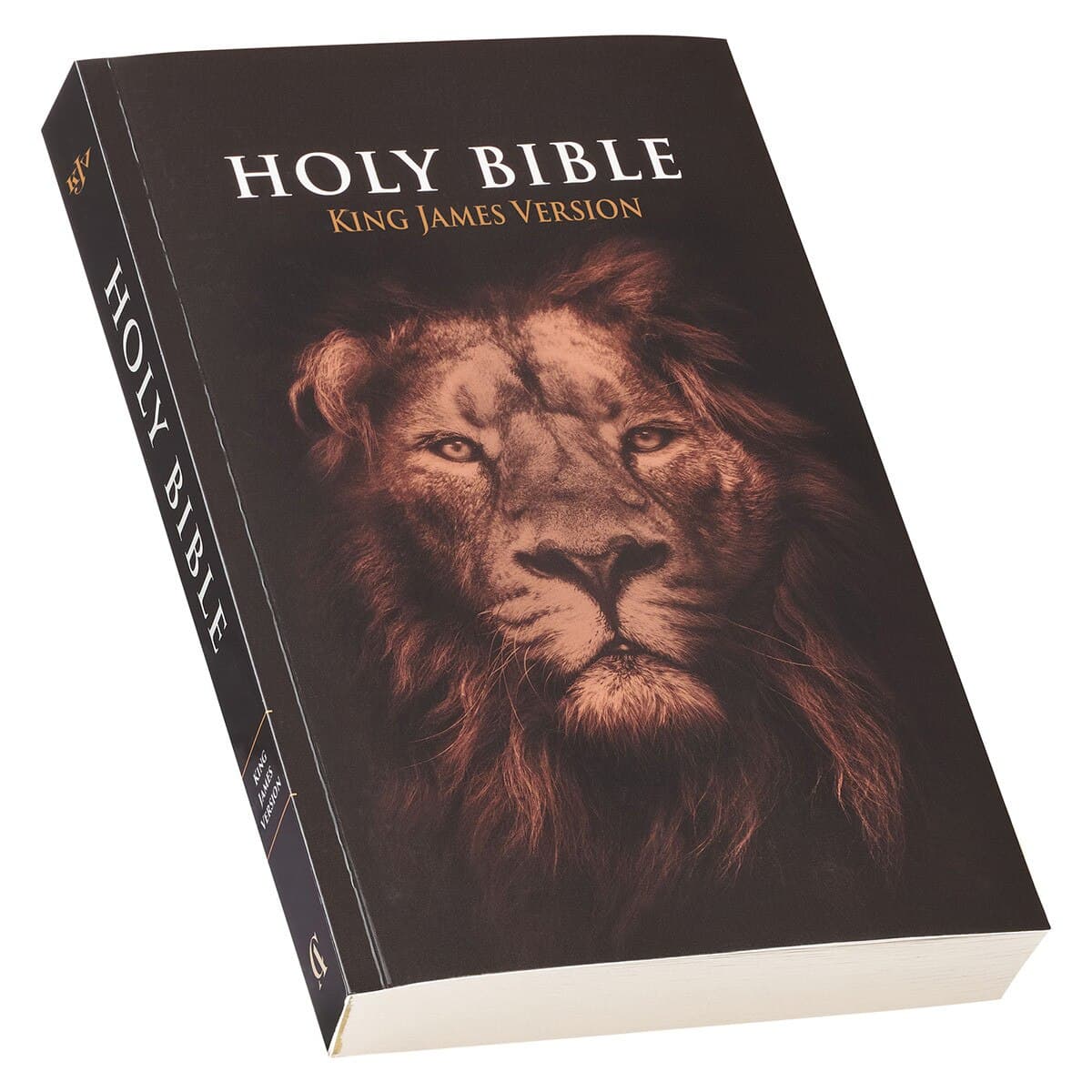 Lion Softcover King James Version Outreach Bible, picture 2