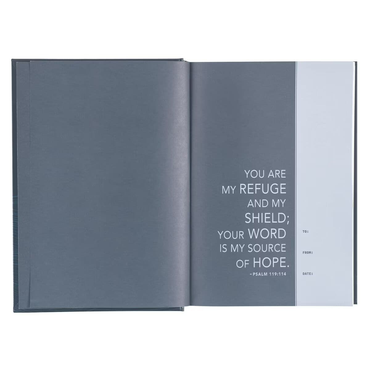 Navy Wave Hardcover NLT Everyday Devotional Bible for Men, picture 3