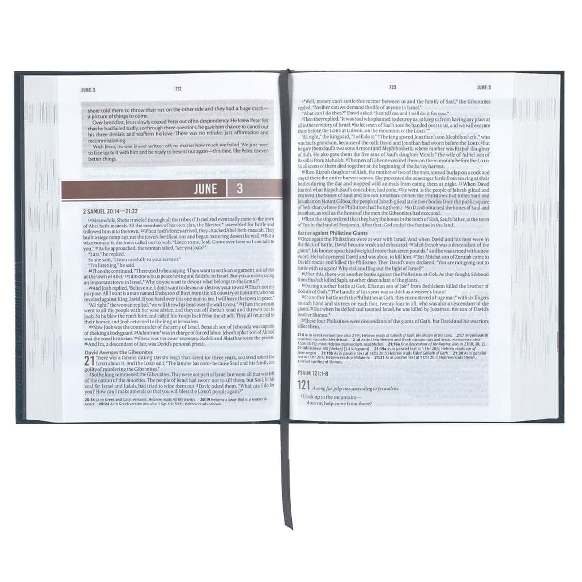 Navy Wave Hardcover NLT Everyday Devotional Bible for Men, picture 4