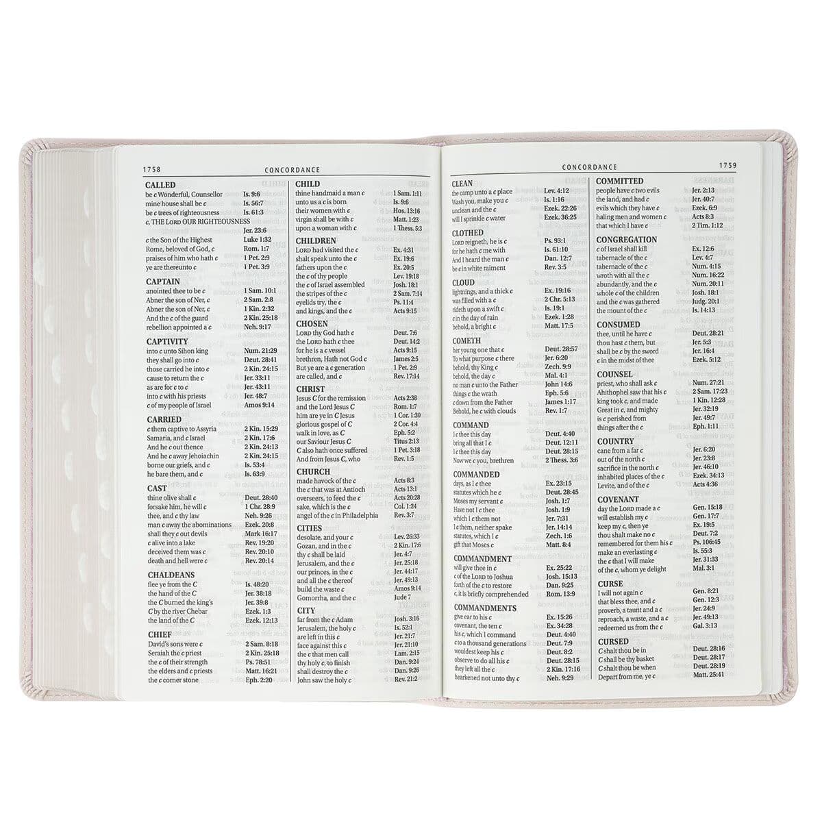Blush Floral Faux Leather Standard-size Giant Print KJV Bible Thumb Index, picture 7