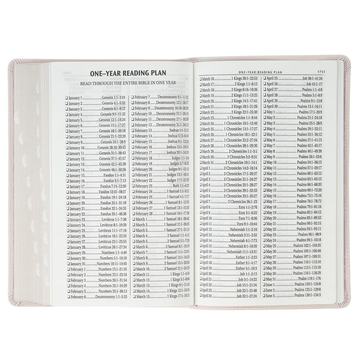 Blush Floral Faux Leather Standard-size Giant Print KJV Bible Thumb Index, picture 8