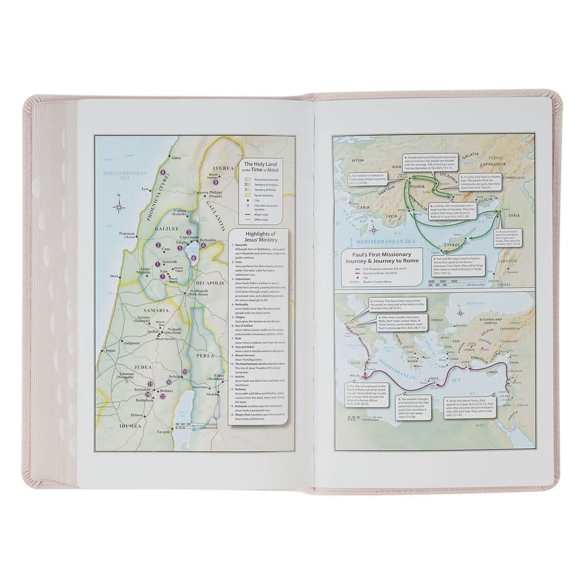 Blush Floral Faux Leather Standard-size Giant Print KJV Bible Thumb Index, picture 5