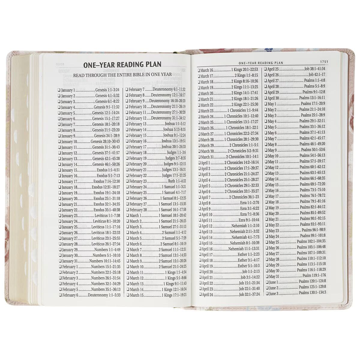 Pink Floral Faux Leather Giant Print Standard-Size King James Version Bible with Thumb Index, picture 8