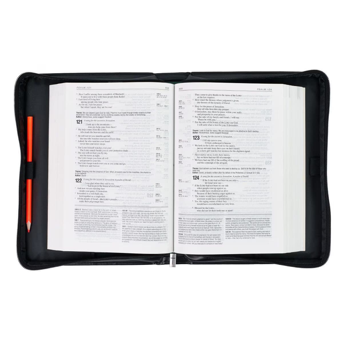 Be Strong - Joshua 1:9 Lion Two-Tone Classic Bible Case  (Large), picture 5