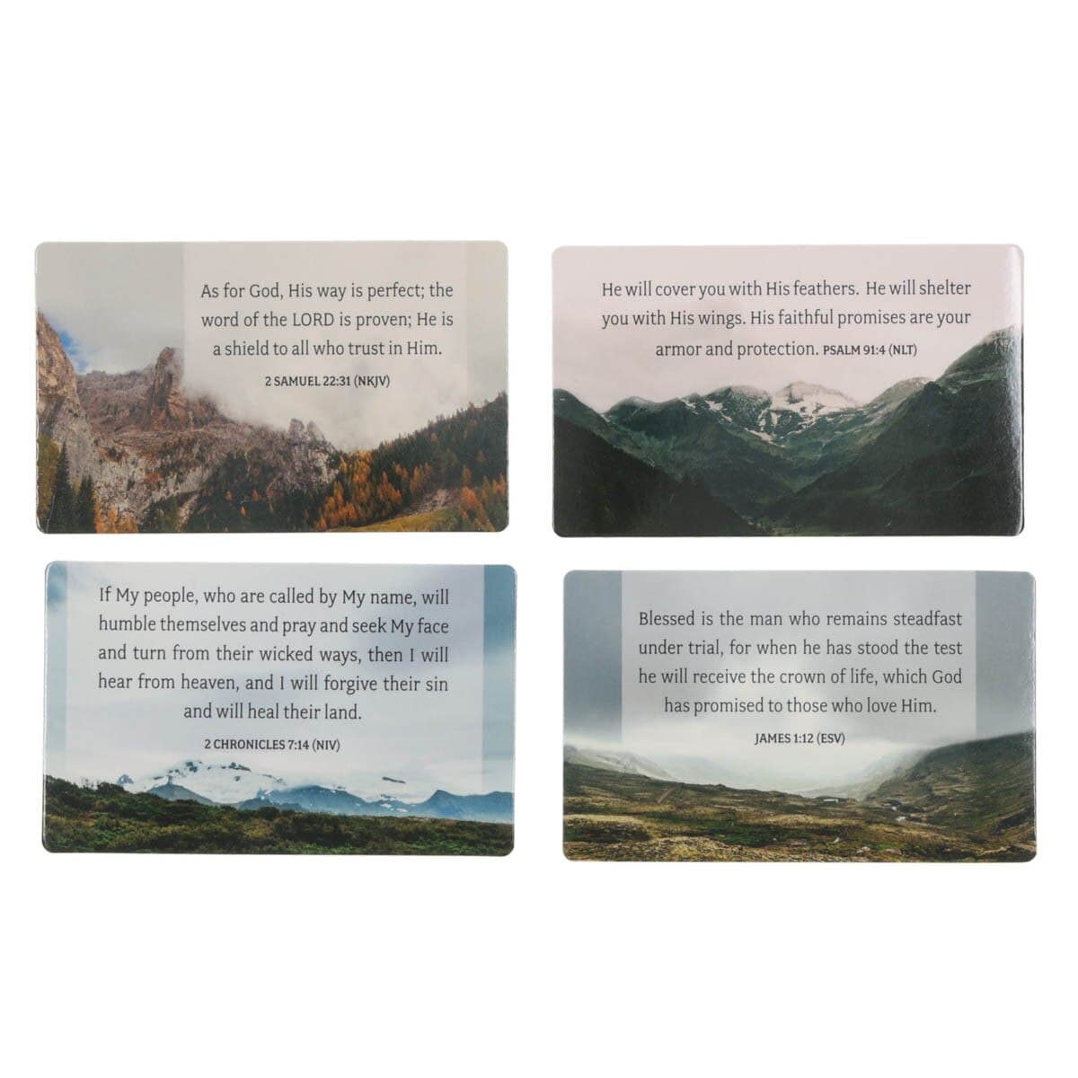 Promises from God FaithBuilders™ Set, picture 2