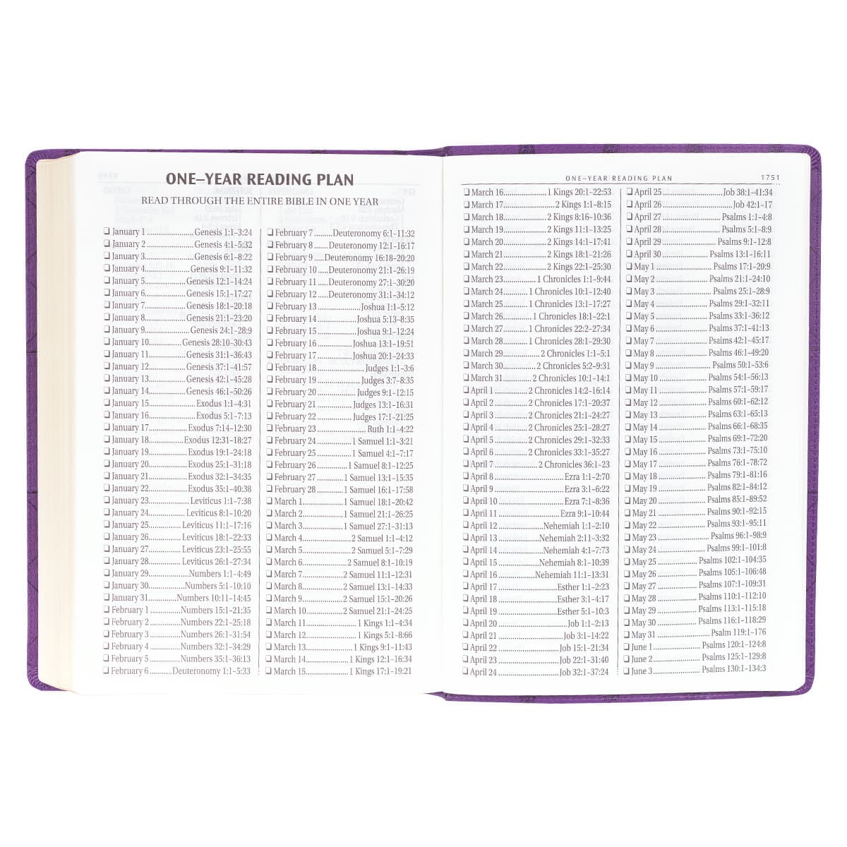 Purple Faux Leather Super Giant Print King James Version Bible, picture 8