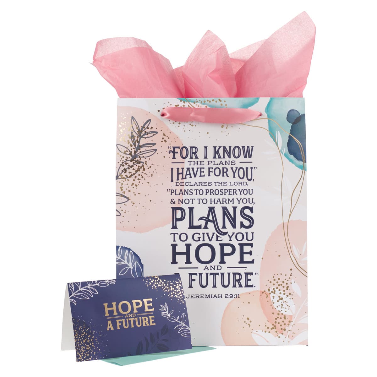 I Know the Plans - Jeremiah 29:11 Large Portrait Gift Bag with Card Set