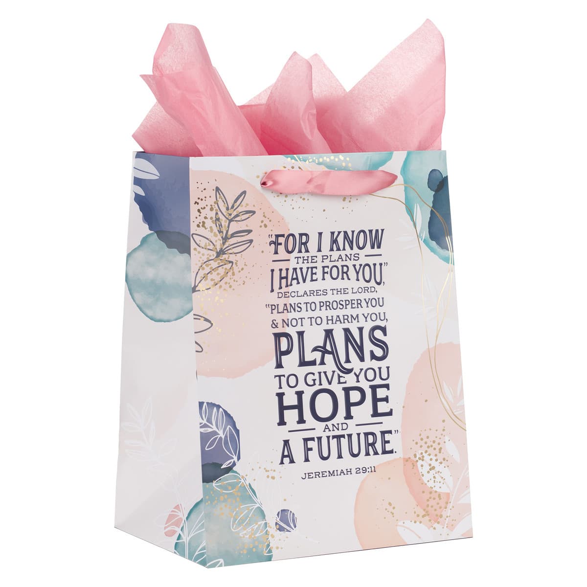 I Know the Plans - Jeremiah 29:11 Large Portrait Gift Bag with Card Set, picture 3