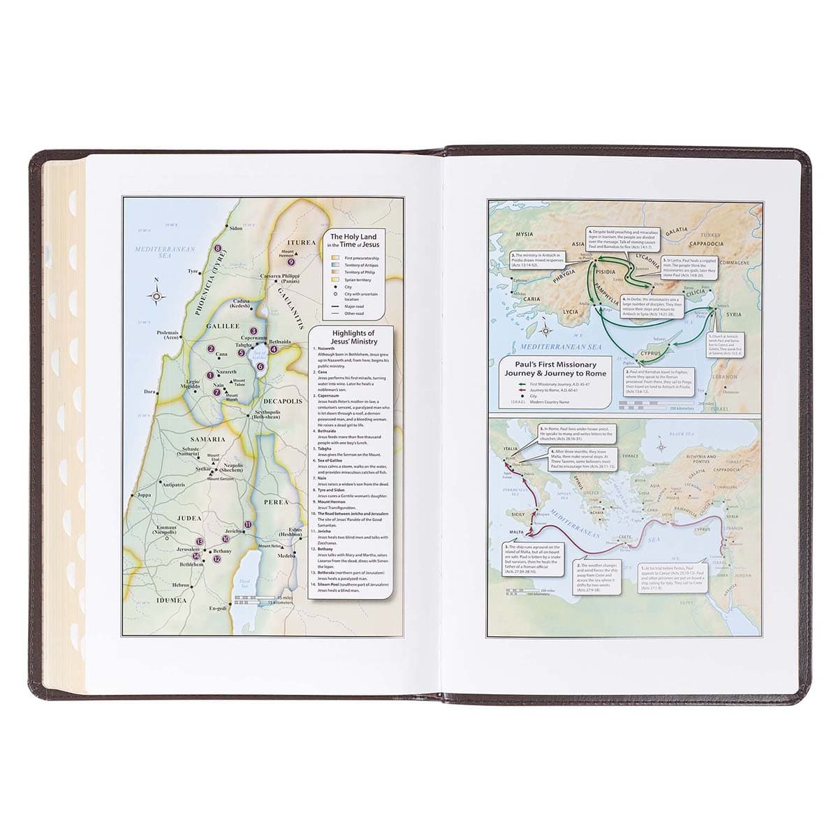 Dark Brown Faux Leather Large Print Thinline King James Version Bible with Thumb Index, picture 7