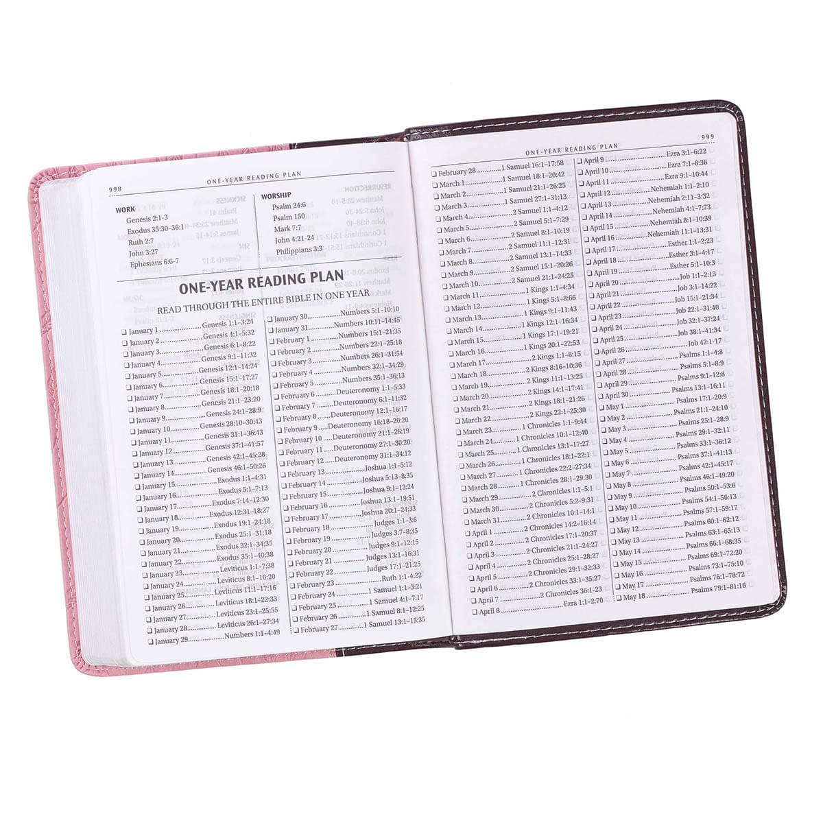 Burgundy and Pink Faux Leather Compact King James Version Bible, picture 7