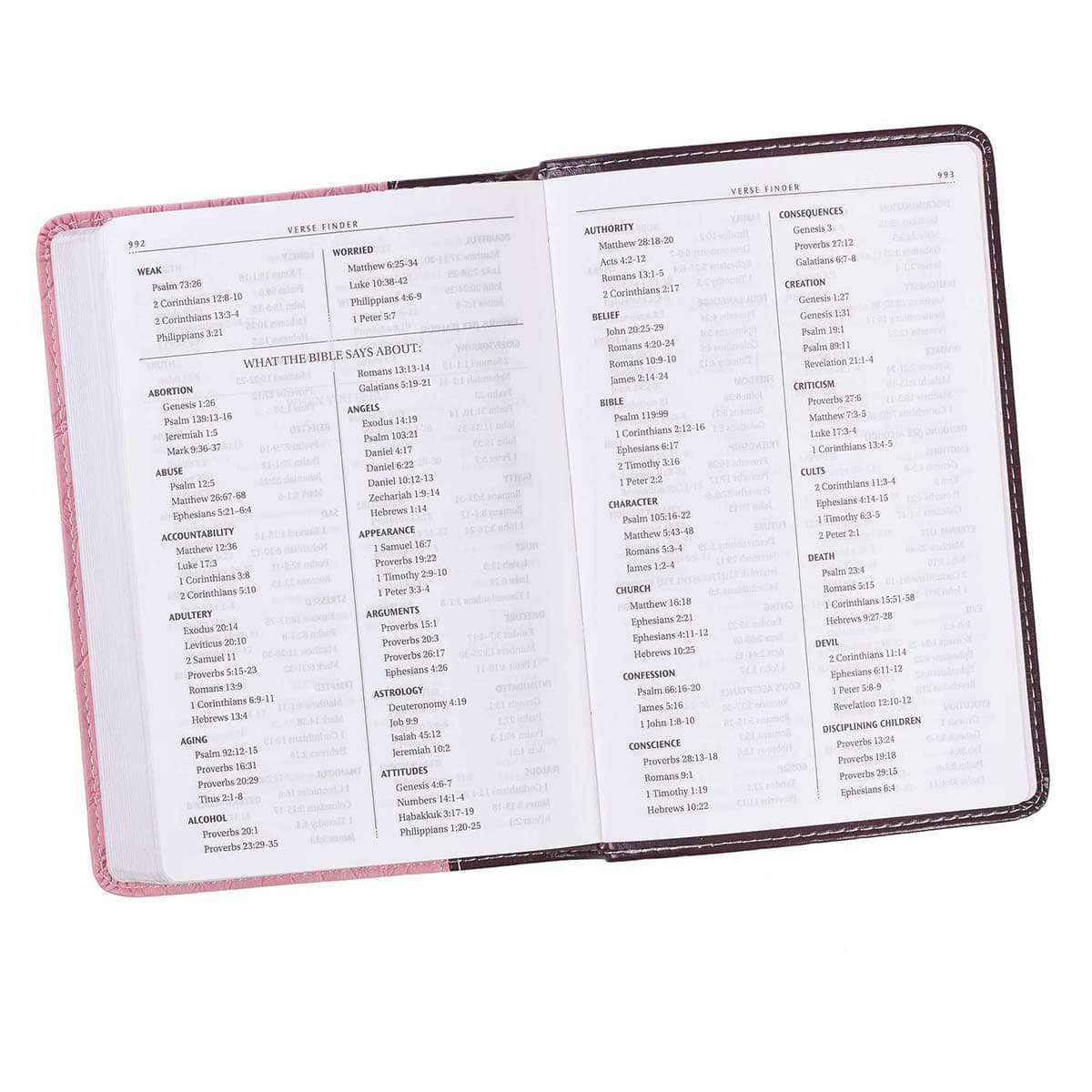 Burgundy and Pink Faux Leather Compact King James Version Bible, picture 8