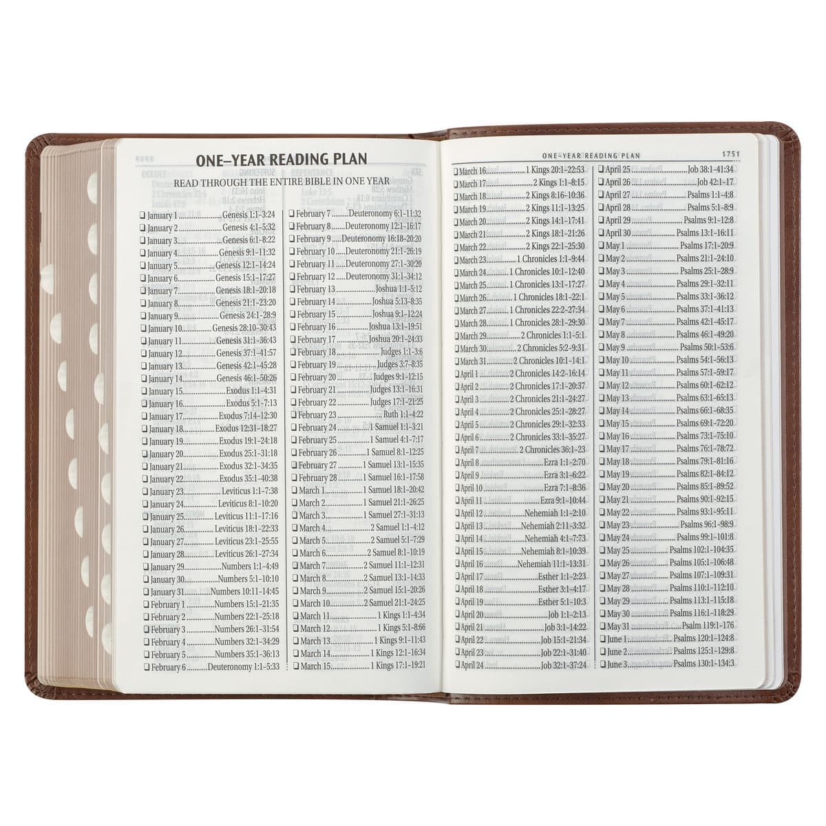 Saddle Tan and Butterscotch Faux Leather Giant Print Standard-size King James Version Bible with Thumb Indexing, picture 9
