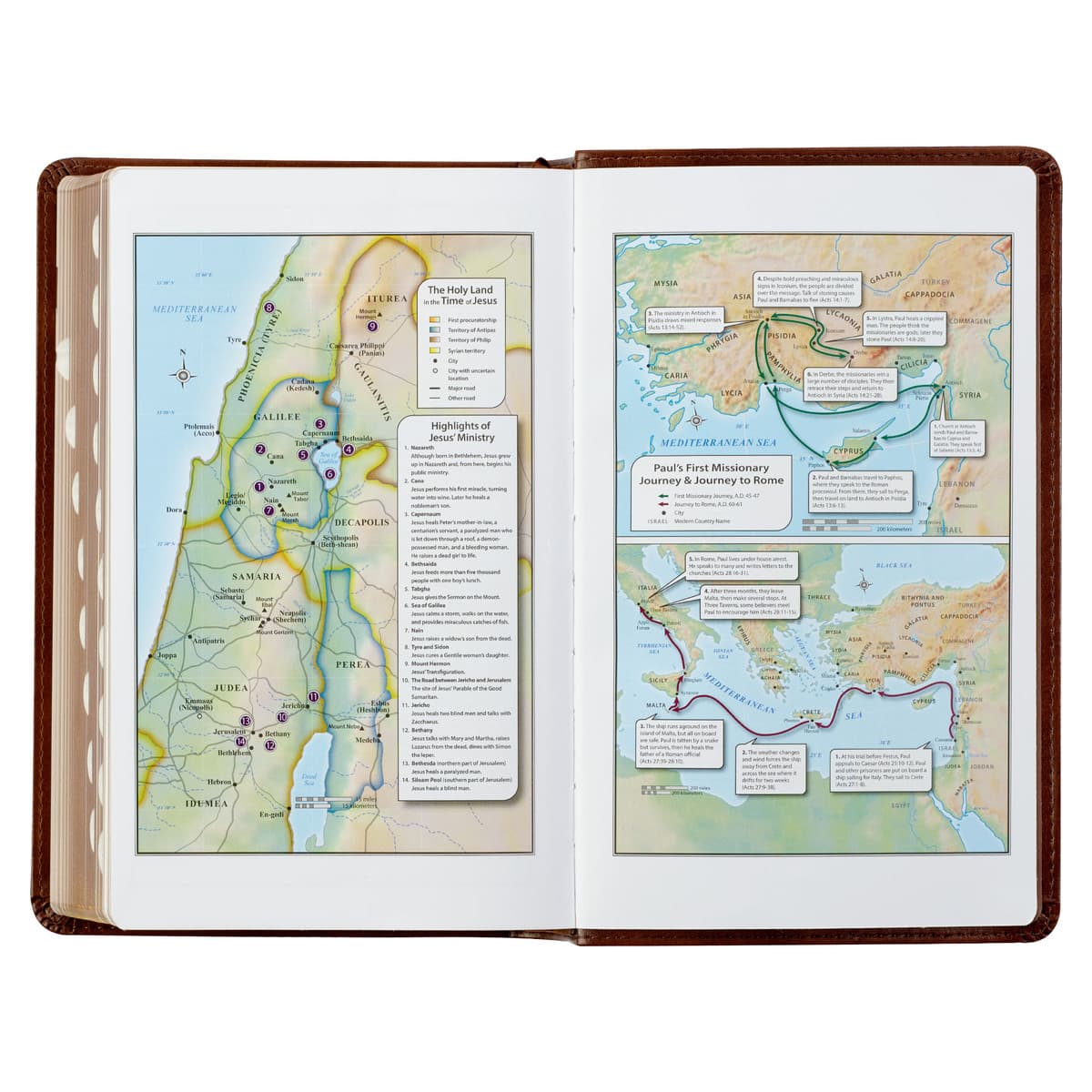 Saddle Tan and Butterscotch Faux Leather Giant Print Standard-size King James Version Bible with Thumb Indexing, picture 6