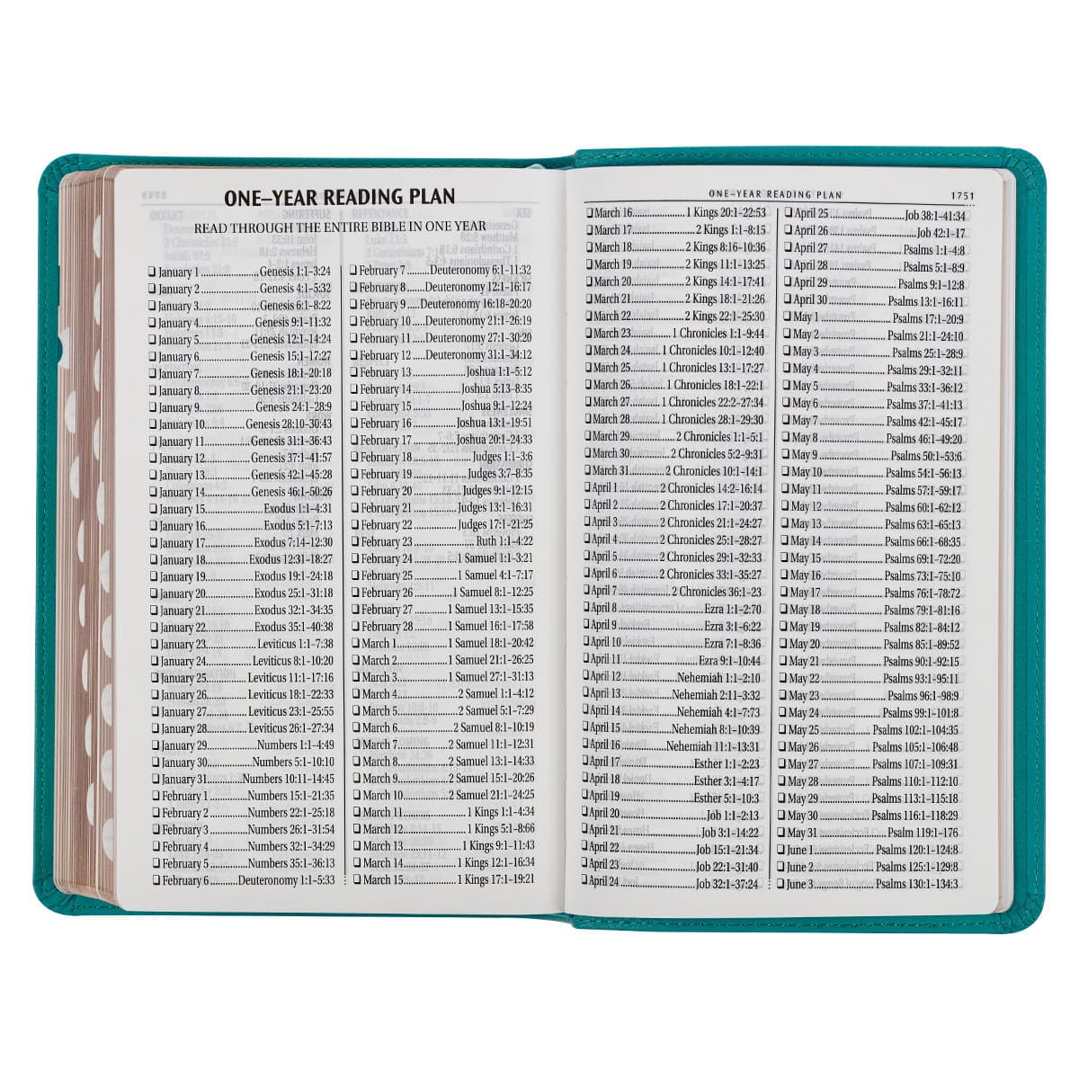 Teal Faux Leather Giant Print Standard-size King James Version Bible with Thumb Index, picture 9