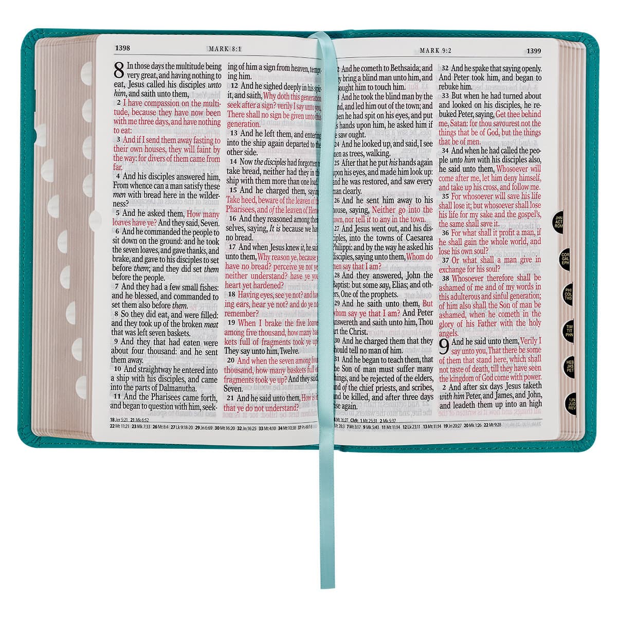 Teal Faux Leather Giant Print Standard-size King James Version Bible with Thumb Index, picture 7