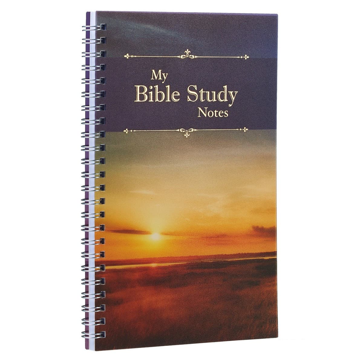 My Bible Study Notes Wirebound Notebook, picture 4