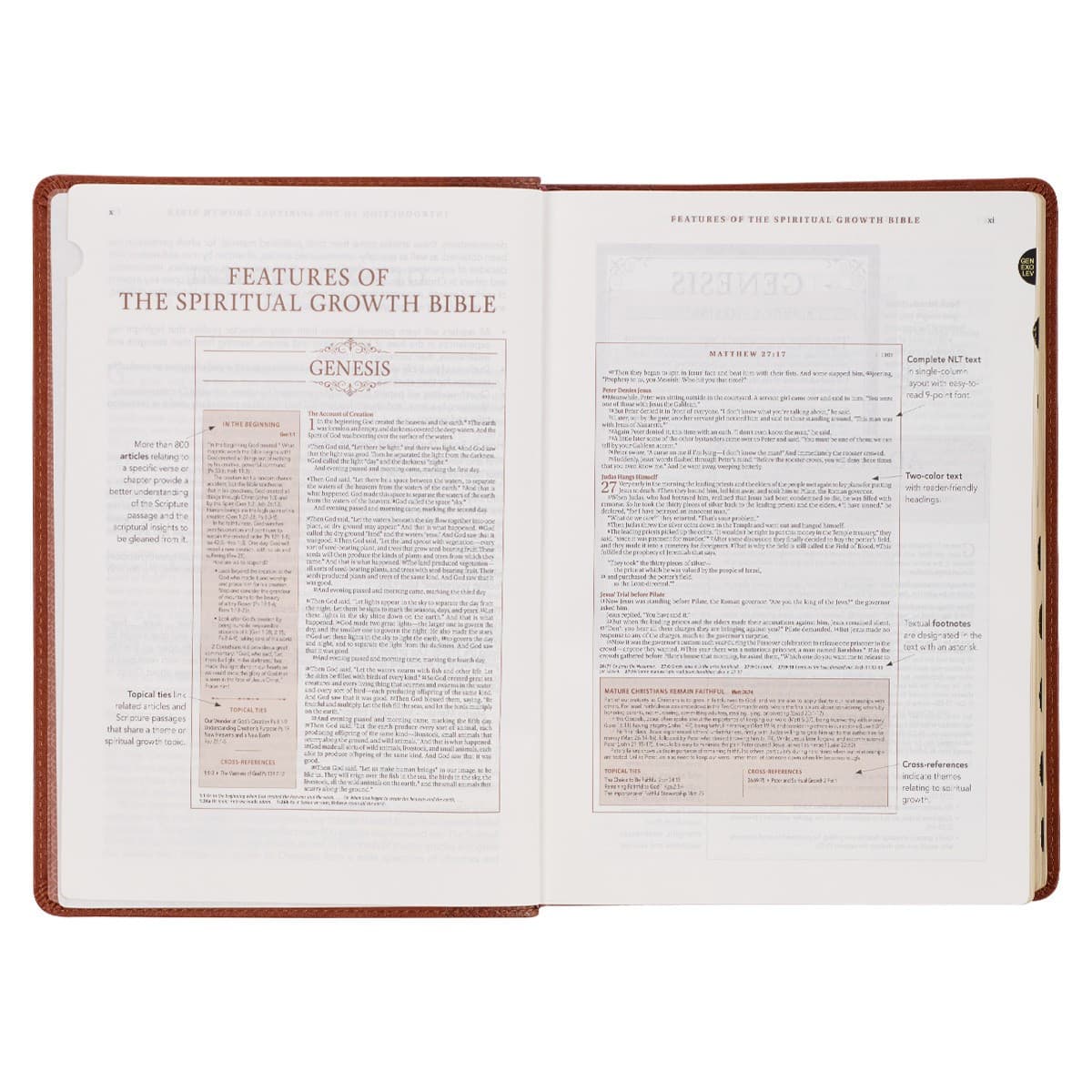 Saddle Tan Faux Leather Spiritual Growth Bible, picture 5