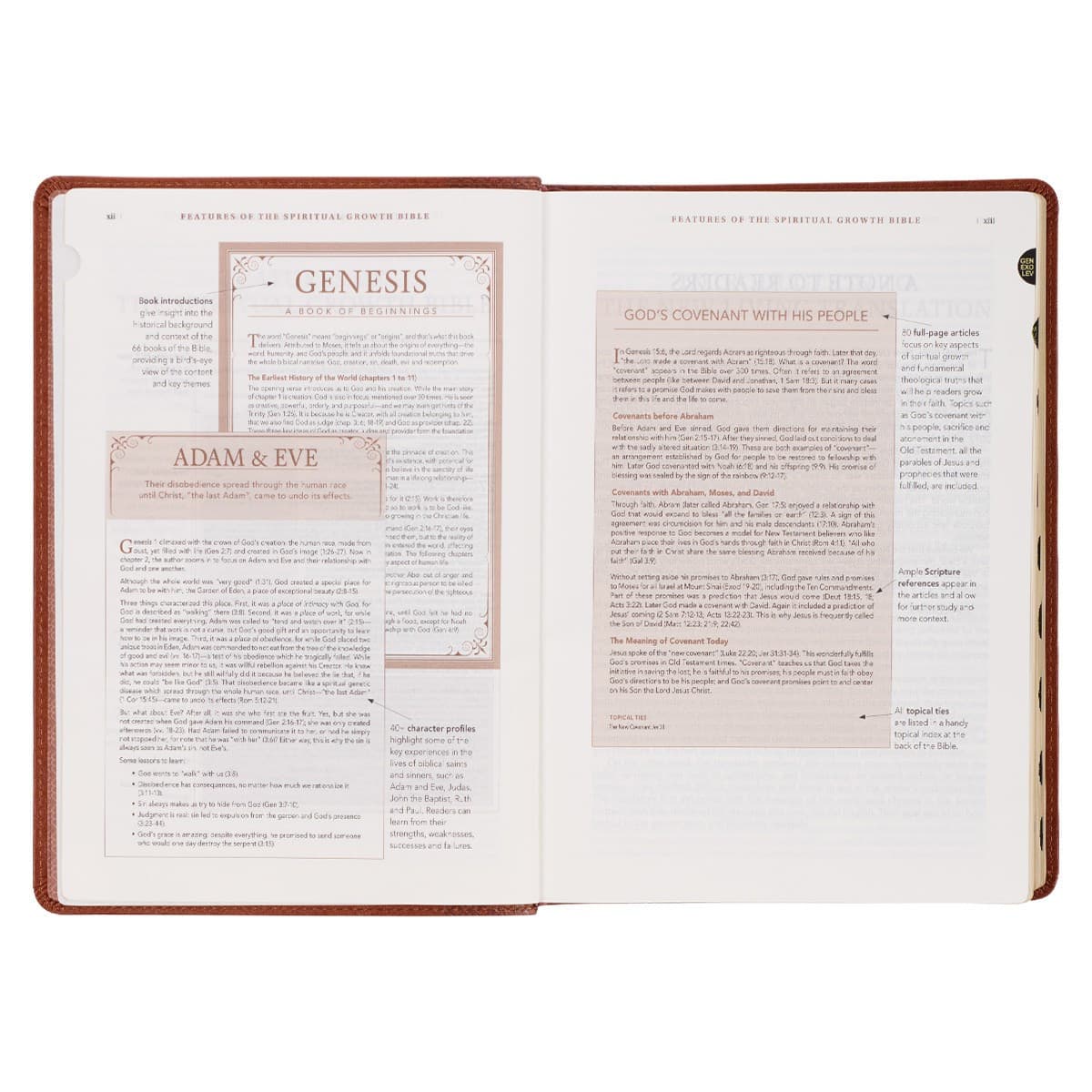 Saddle Tan Faux Leather Spiritual Growth Bible, picture 6