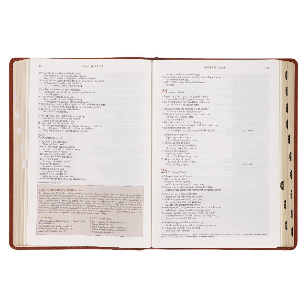 Saddle Tan Faux Leather Spiritual Growth Bible, picture 8