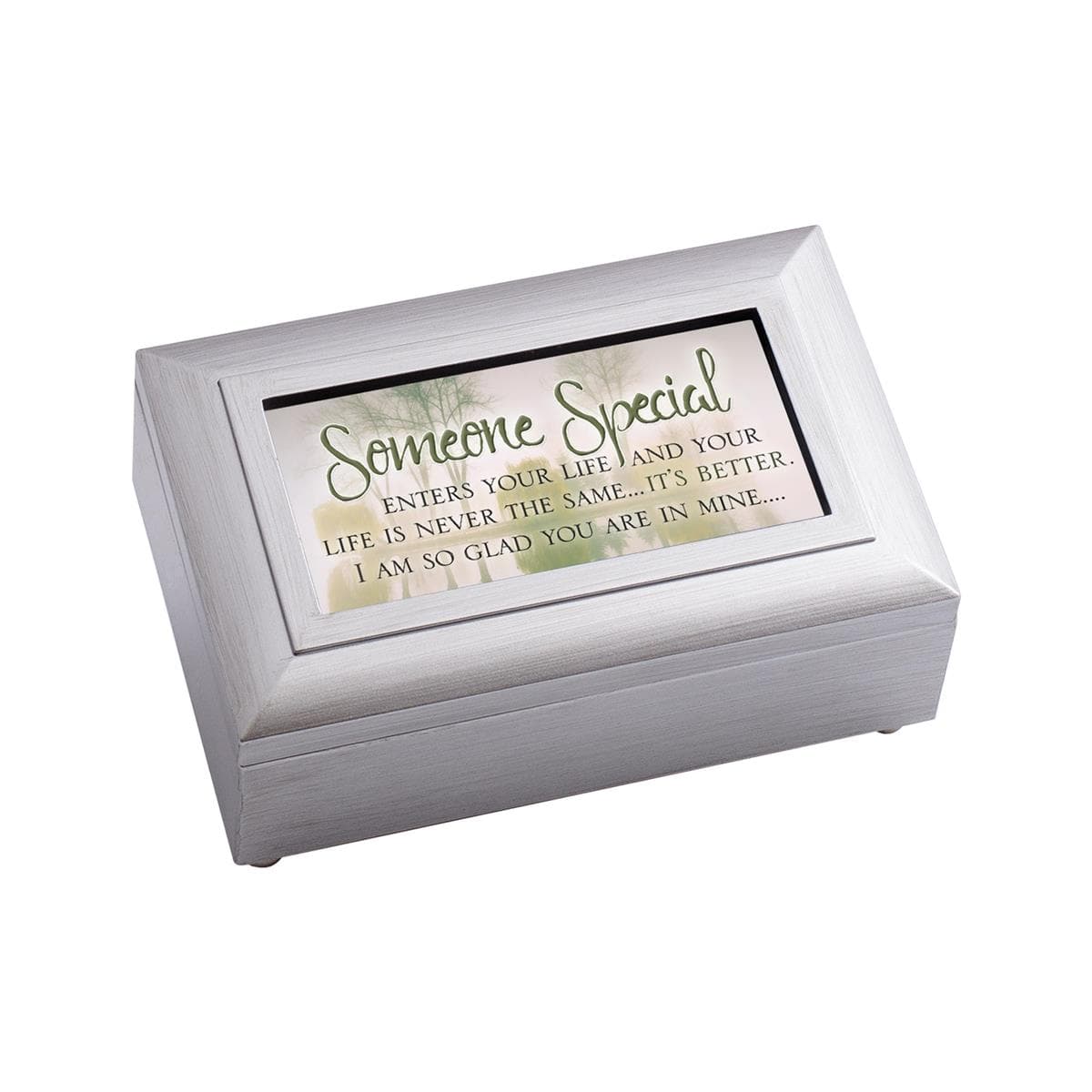 SOMEONE SPECIAL LIFE IS PETITE MUSICAL JEWELRY BOX