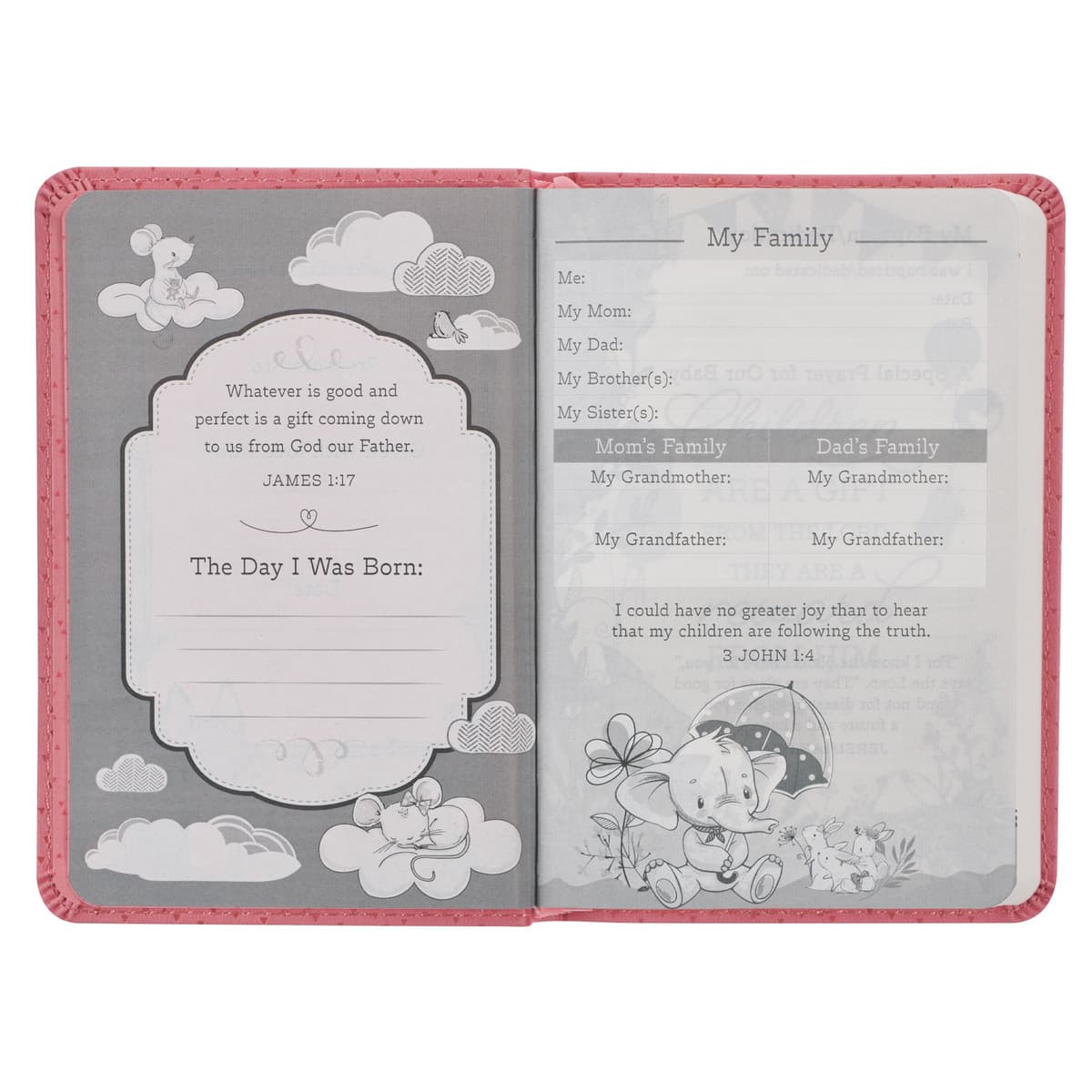 Pink Faux Leather NLT New Testament Keepsake Bible for Girls, picture 4