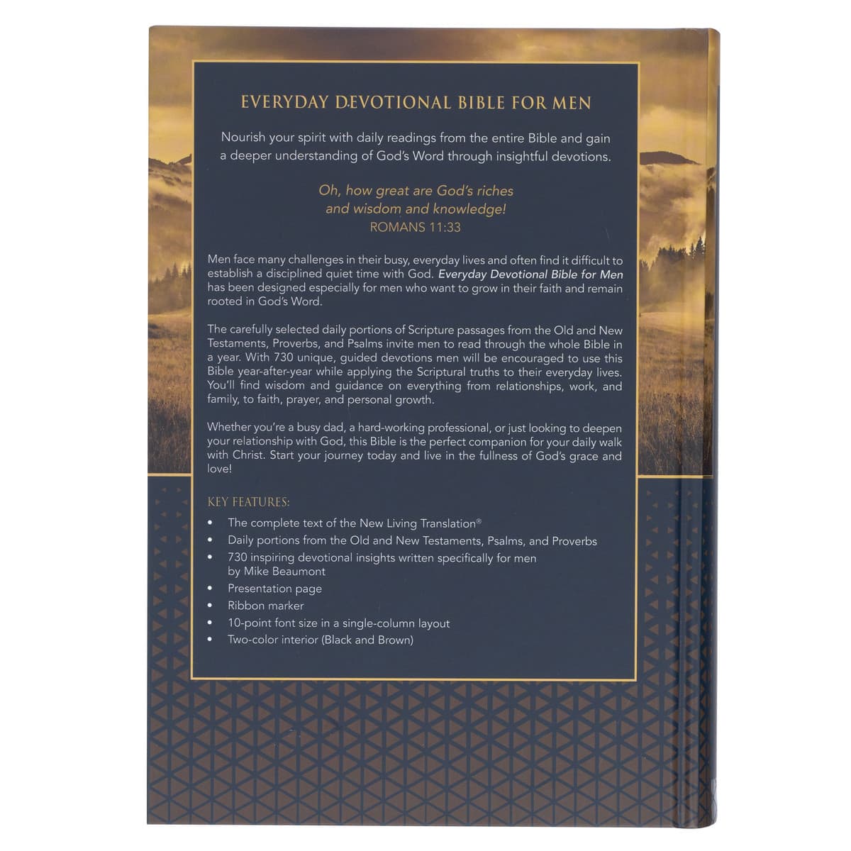 Gold and Navy Mountain View Hardcover NLT Everyday Devotional Bible for Men, picture 2