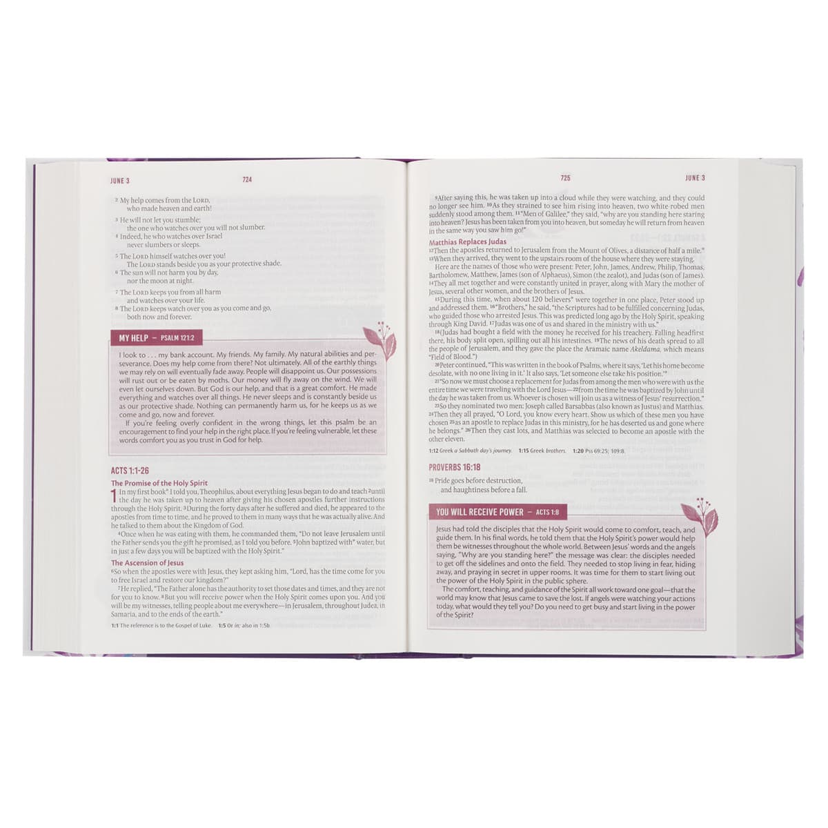 Purple Floral Hardcover NLT Everyday Devotional Bible for Women, picture 5