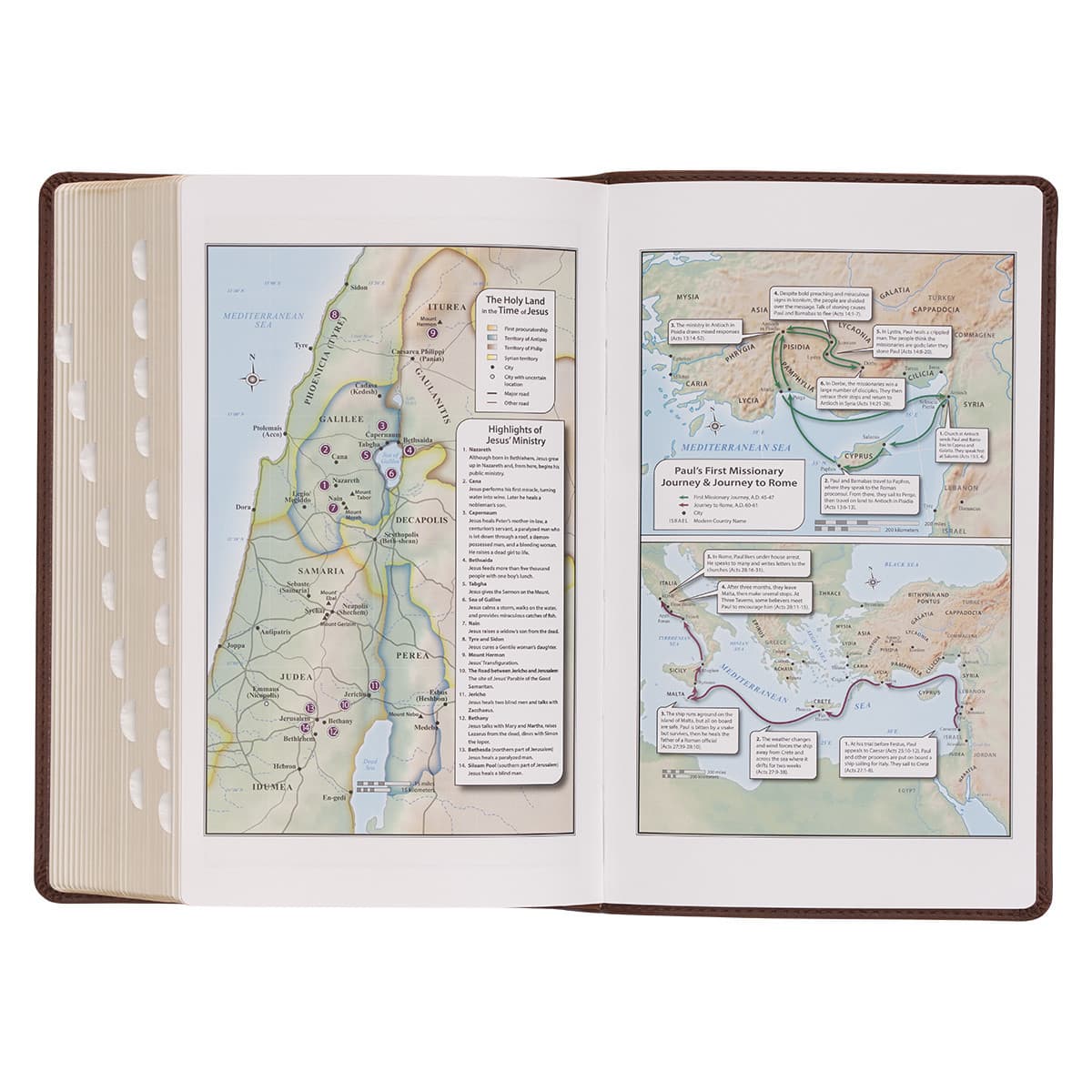 Medium Brown Ivy Faux Leather Giant Print Standard-size Bible with Thumb Index, picture 6