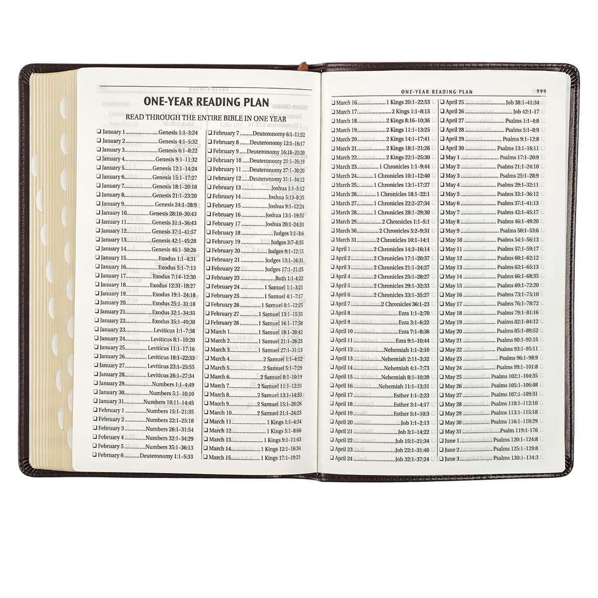 Dark Brown Faux Leather King James Version Deluxe Gift Bible with Thumb Index, picture 8