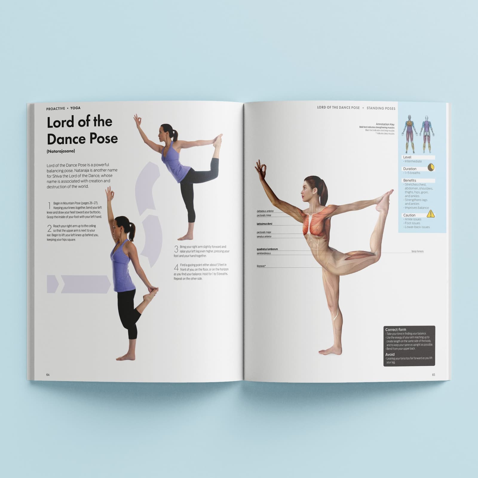 ProActive Yoga, picture 2