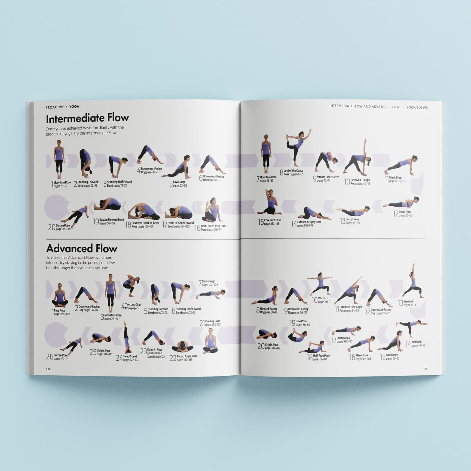 ProActive Yoga, picture 3