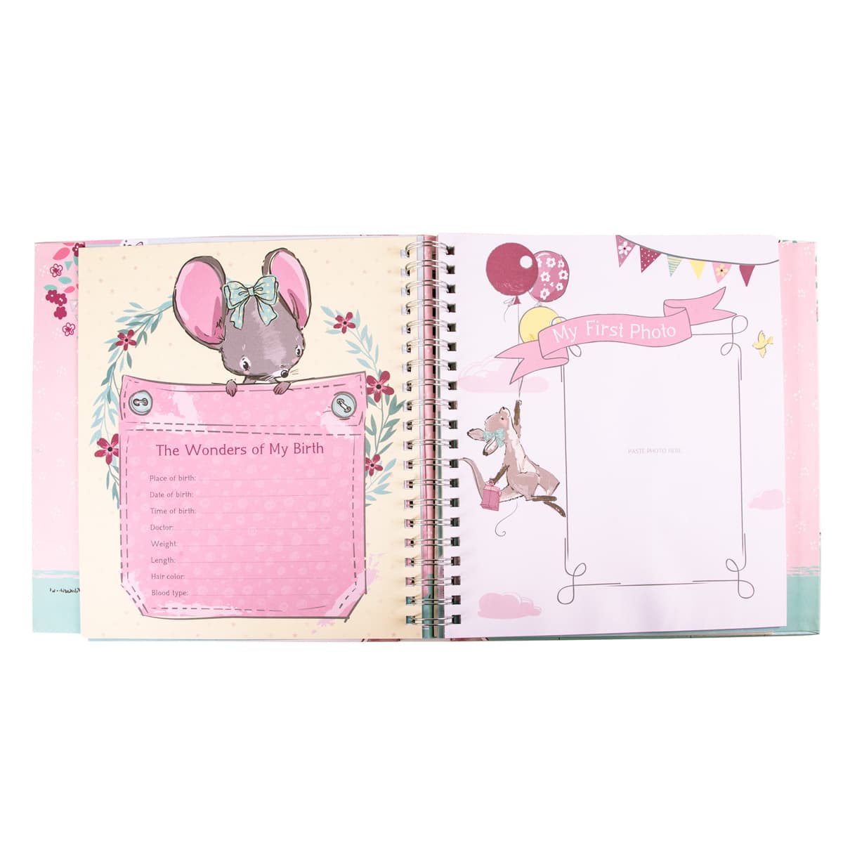 Our Baby Girl's First Year (Padded Hardcover), picture 4