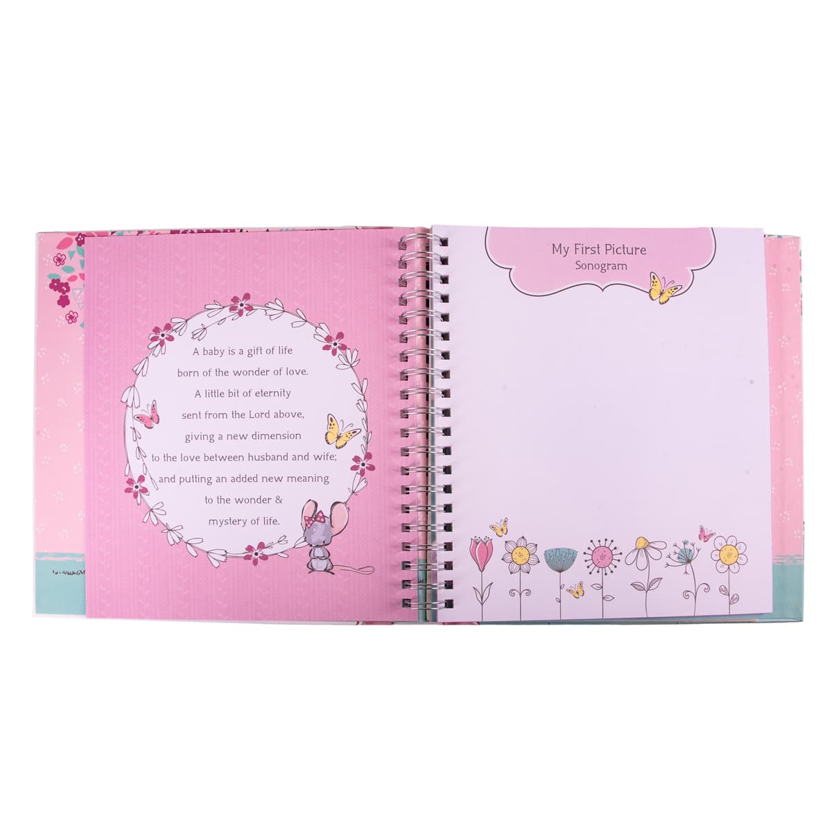 Our Baby Girl's First Year (Padded Hardcover), picture 5
