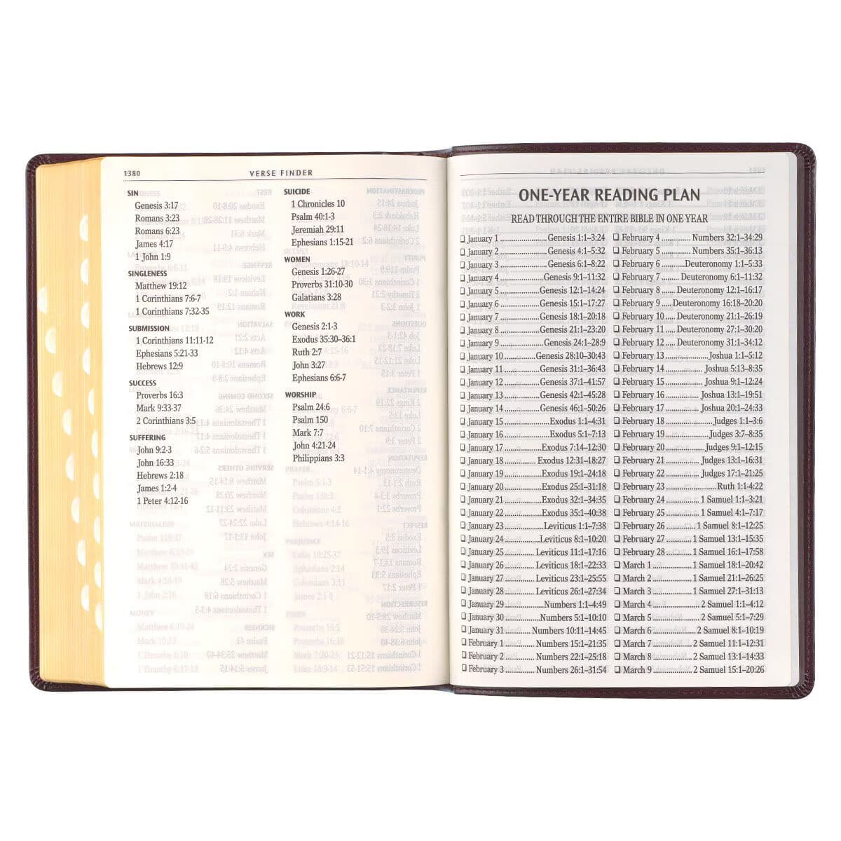 Antiqued Dark Brown Faux Leather Giant Print Full-size King James Version Bible with Thumb Index, picture 8