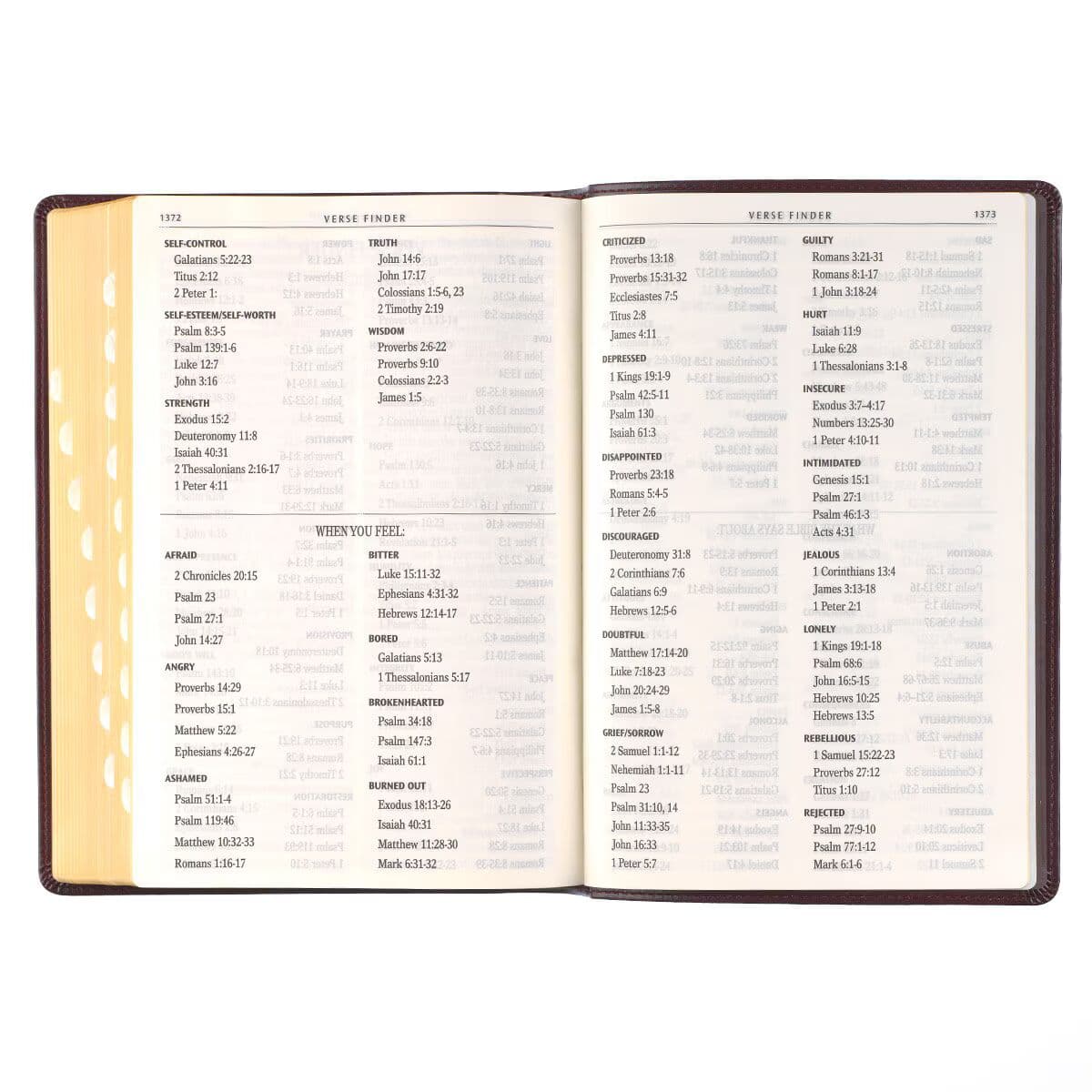 Antiqued Dark Brown Faux Leather Giant Print Full-size King James Version Bible with Thumb Index, picture 9