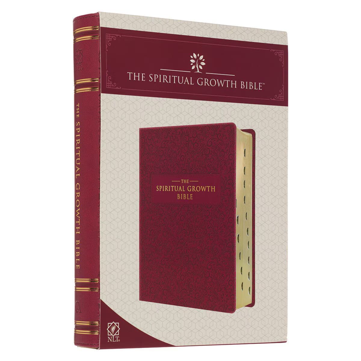 Berry Faux Leather Spiritual Growth Bible, picture 12