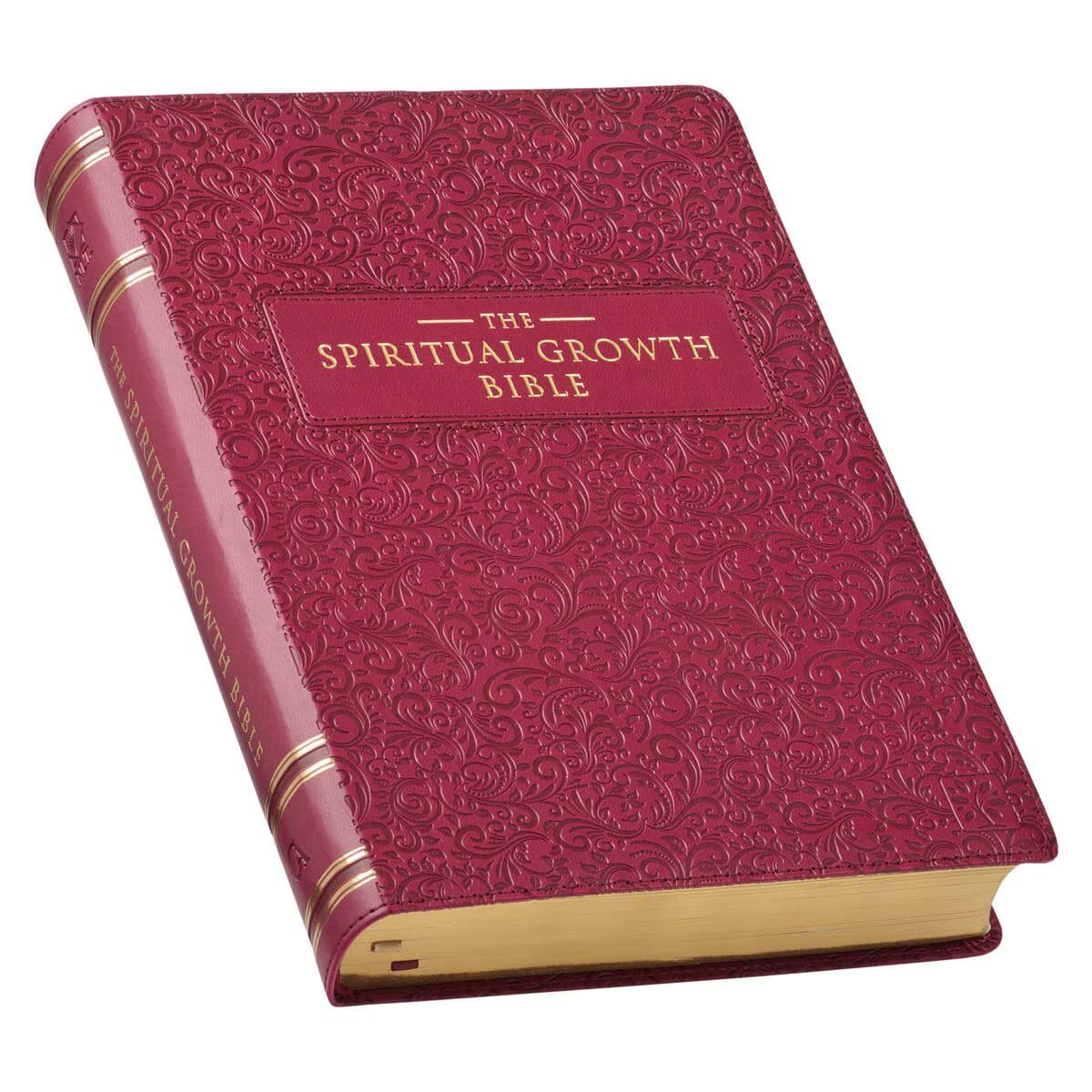 Berry Faux Leather Spiritual Growth Bible, picture 6