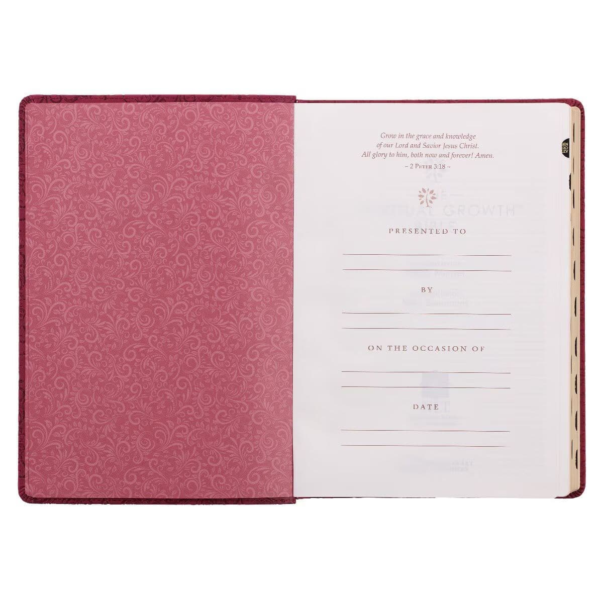 Berry Faux Leather Spiritual Growth Bible, picture 7