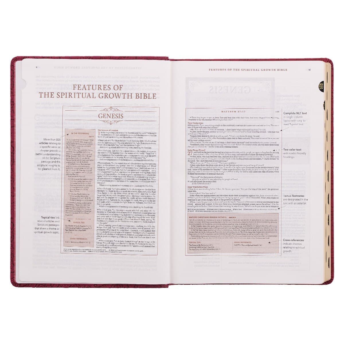 Berry Faux Leather Spiritual Growth Bible, picture 2