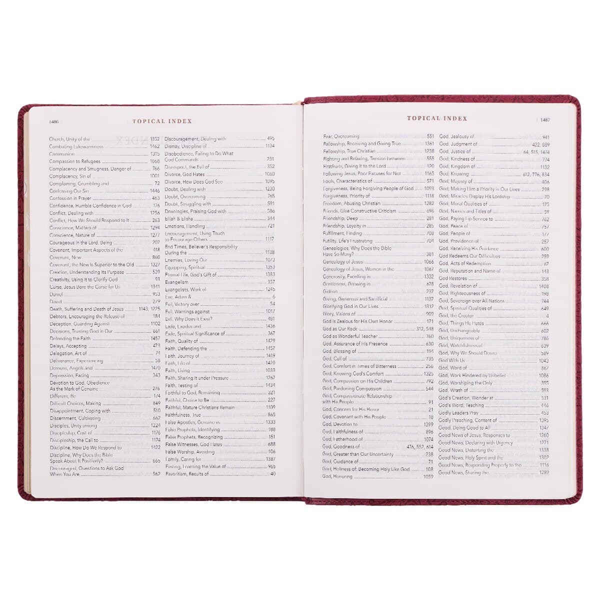 Berry Faux Leather Spiritual Growth Bible, picture 3