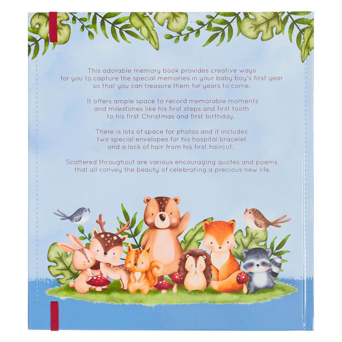 My First Year Hardcover Memory Book for Baby Boys, picture 2