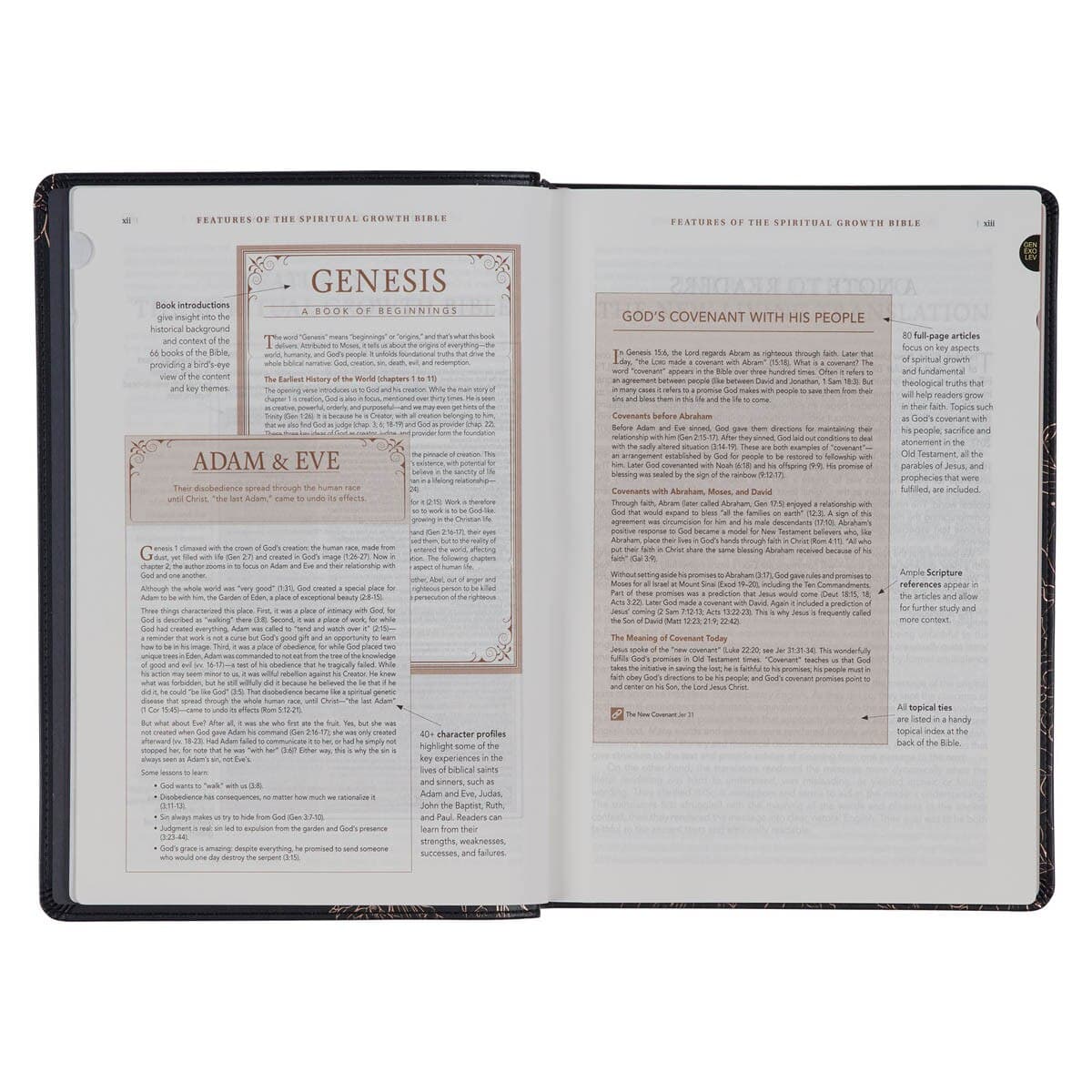 Midnight Blue Faux Leather Spiritual Growth Bible, picture 6