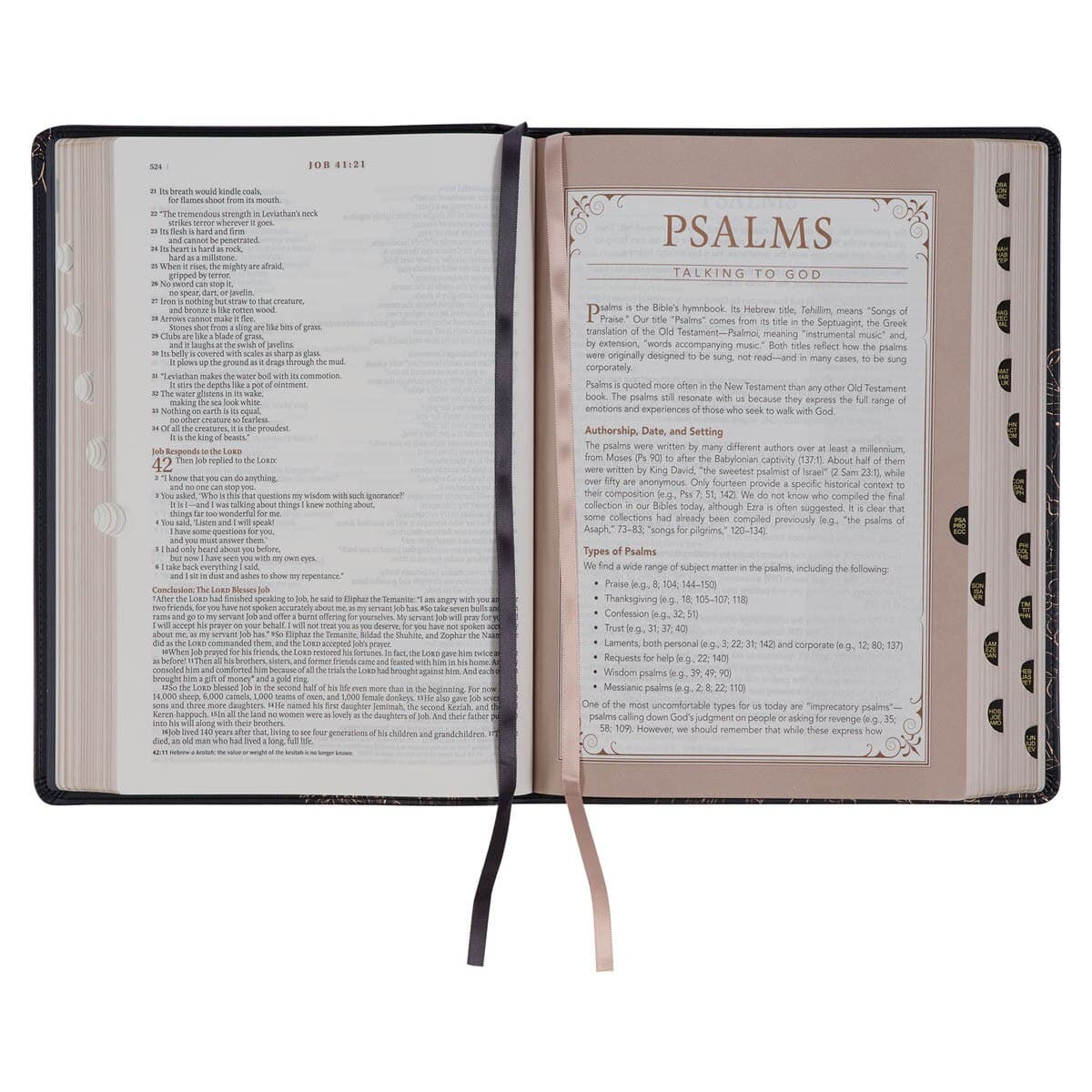 Midnight Blue Faux Leather Spiritual Growth Bible, picture 7