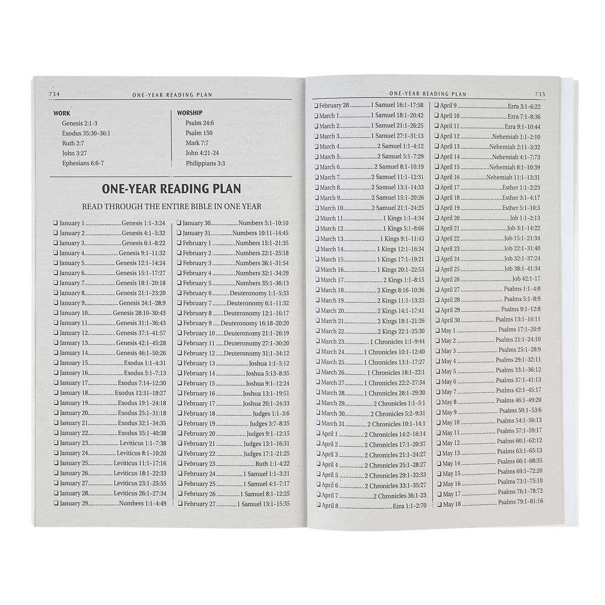 Daybreak Softcover King James Version Outreach Bible, picture 4