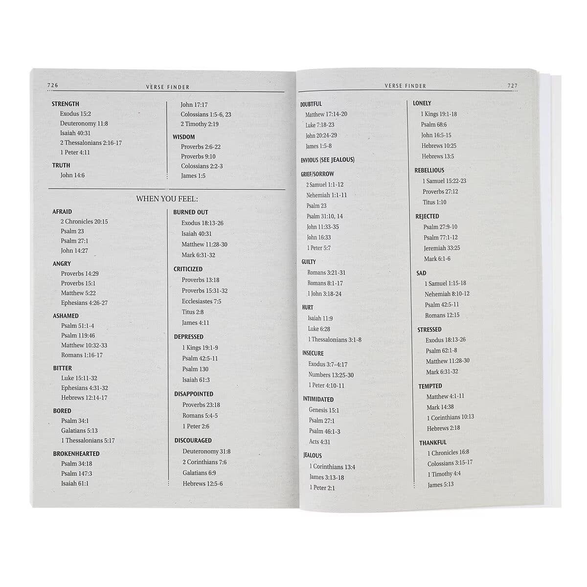 Daybreak Softcover King James Version Outreach Bible, picture 5