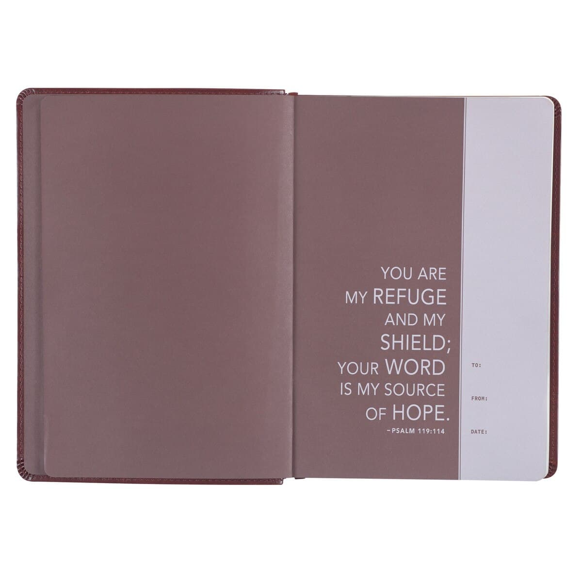 Saddle Tan Faux Leather NLT Everyday Devotional Bible for Men, picture 3