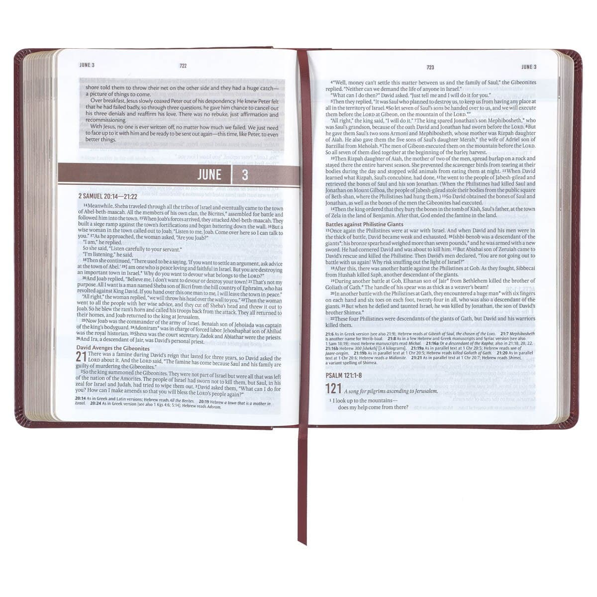 Saddle Tan Faux Leather NLT Everyday Devotional Bible for Men, picture 4